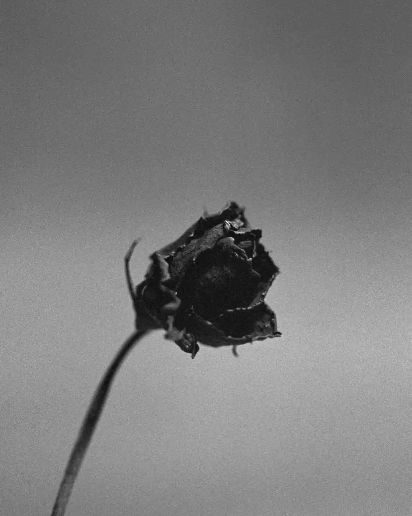 #TheObsessions - Fotografer Sarah Isabelle Tan Membagikan Hal-Hal